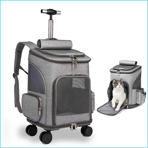 역대급상품 고양이이동가방 BEST 10