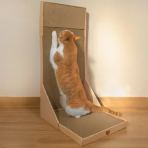 초대박할인 스크레쳐 TOP 10