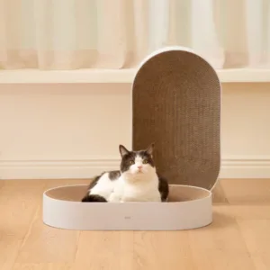 스크레쳐 초대박세일