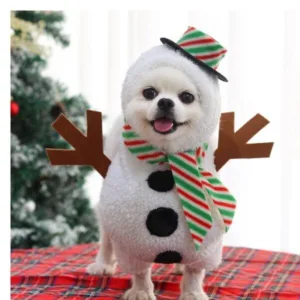 핫딜맞나요?? 강아지산타모자 추천 랭킹 10