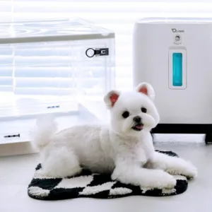 강아지산소방 HOT 10개를 선정해 봤어요.