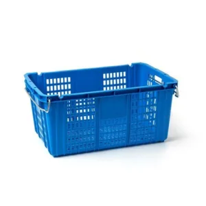 이사바구니 TOP 10