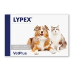 라이펙스 특가 제품