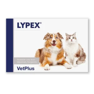 라이펙스 특가 제품