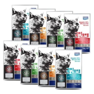 핫한 국민모래 HOT 10