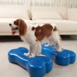 특가k 강아지짐볼 추천 10