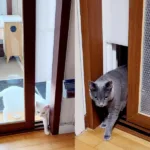 꿀템정보! 베란다펫도어 추천 10