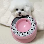 고양이먹이퍼즐 추천 랭킹 10