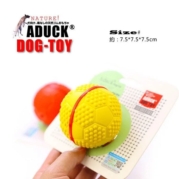 강아지공 추천 TOP 10