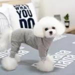 강아지올인원후리스 오늘의 핫딜가격