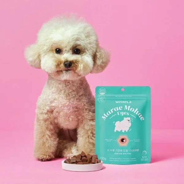 대박난 꿀템 강아지눈물영양제 추천 10