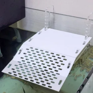 오늘 거북이쉼터 HOT 10개