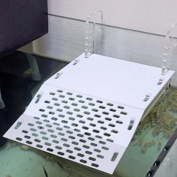 오늘 거북이쉼터 HOT 10개