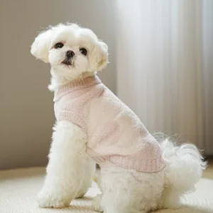 믿고쓰는 상품 강아지니트 추천 10