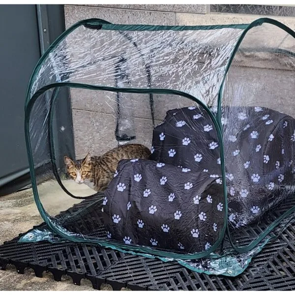 핫딜세일 고양이비닐하우스 추천 10