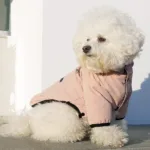 알파아이콘 초대박특가