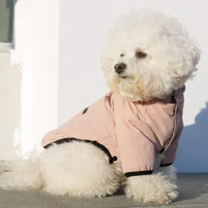 알파아이콘 초대박특가