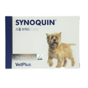 특가정보 사이노퀸소형견 추천 랭킹 10