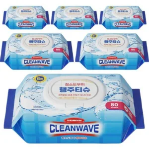 2024 새솜이 TOP 10