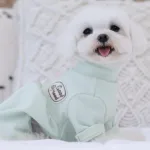 강아지기모올인원 핫딜세일