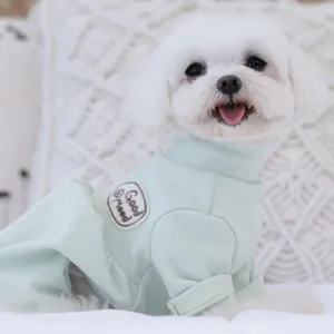 강아지기모올인원 핫딜세일