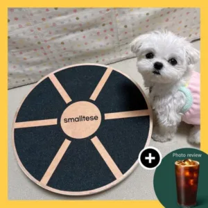 강아지짐볼 특가k