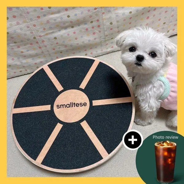 강아지짐볼 특가k