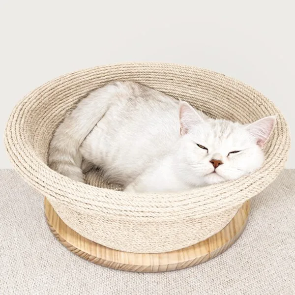 착한가격 맞나요? 고양이원형스크래쳐 추천 랭킹 10