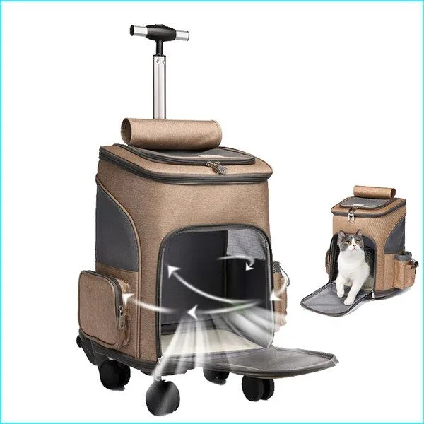 강아지캐리어 할인 꿀템