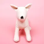 완전대박 꿀템 강아지마네킹 BEST 10