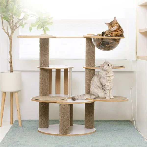 미니캣타워 특별할인 상품