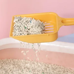 오늘의 고양이모래삽 제품 TOP 10