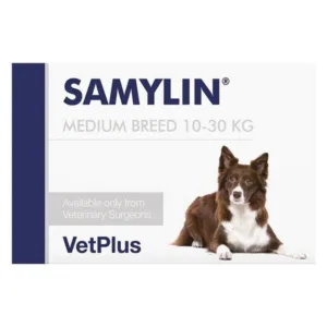 인기짱 꿀템 새밀린 추천 랭킹 10