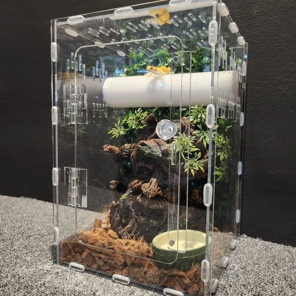 특가세일 게코사육장 TOP 10