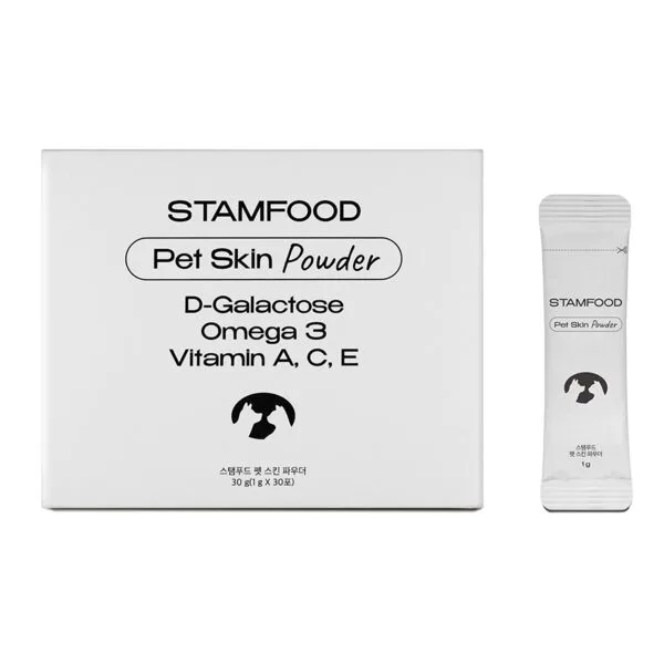 인기짱 꿀템 사이노퀸소형견 추천 랭킹 10