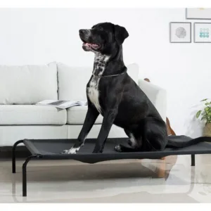 강아지해먹 특별할인 꿀템