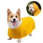 세일 강아지망토 HOT 10