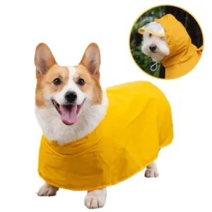 세일 강아지망토 HOT 10