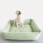 대형견방석 핫딜세일