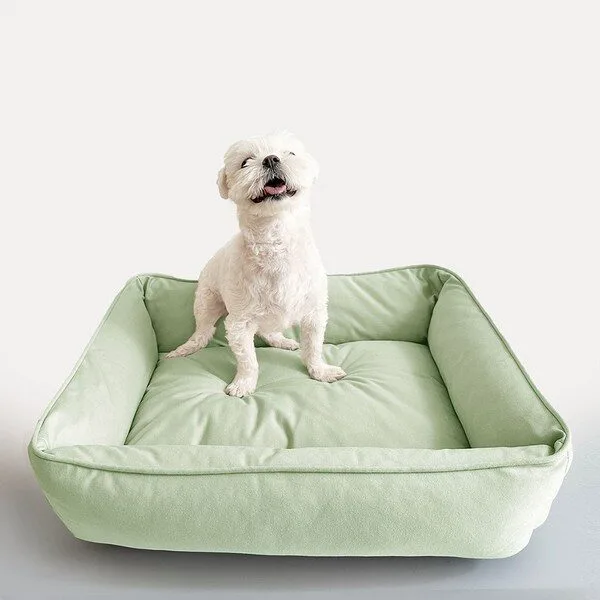 대형견방석 핫딜세일