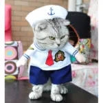 크리스마스강아지옷 인기짱 상품