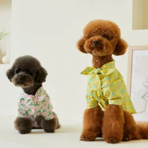 할인정보 강아지명품옷 추천 10