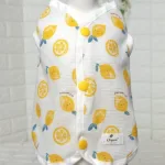 강아지조끼 핫한