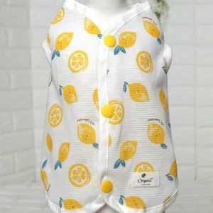 강아지조끼 핫한