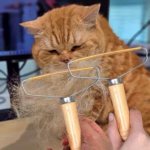 히트아이템 고양이털제거기 BEST 10