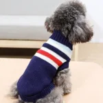 강아지니트 나만없어! 꿀템