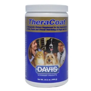 테라코트 오늘의 쿠팡 특가