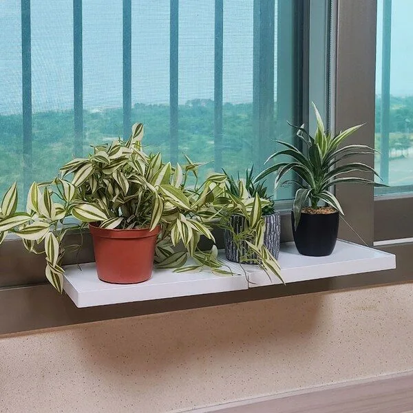 특별할인 꿀템 창문선반 TOP 10