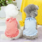 중형견옷 추천 랭킹 TOP 10