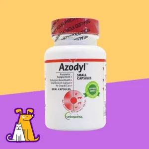 아조딜 이정도면 핫딜인가요??